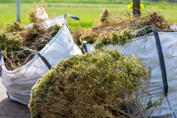 Best Yard Cleanup Services  in Crownpoint, NM